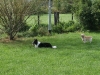 SONY DSC
